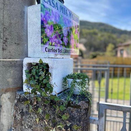Casa Mia Malva Leilighet Riccò del Golfo di Spezia Eksteriør bilde