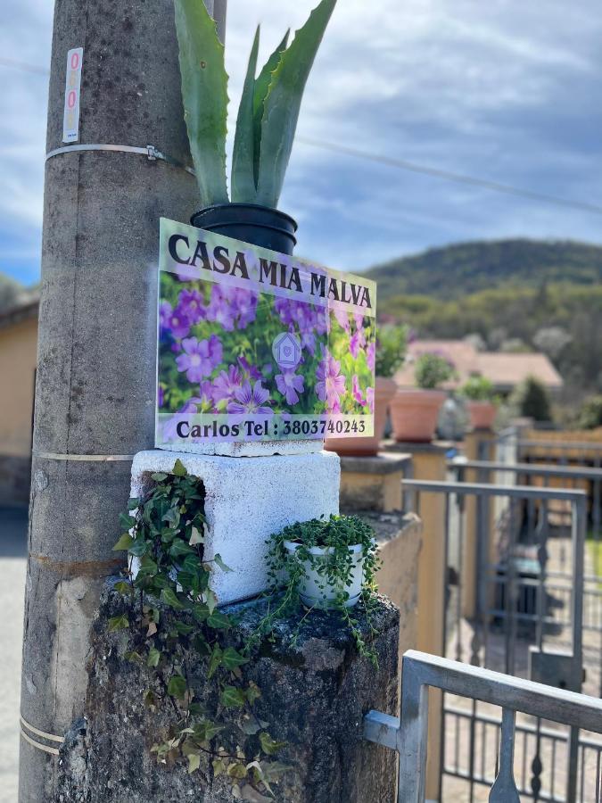 Casa Mia Malva Leilighet Riccò del Golfo di Spezia Eksteriør bilde
