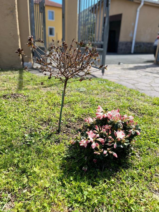 Casa Mia Malva Leilighet Riccò del Golfo di Spezia Eksteriør bilde