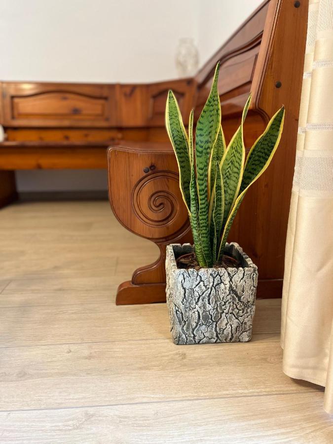 Casa Mia Malva Leilighet Riccò del Golfo di Spezia Eksteriør bilde